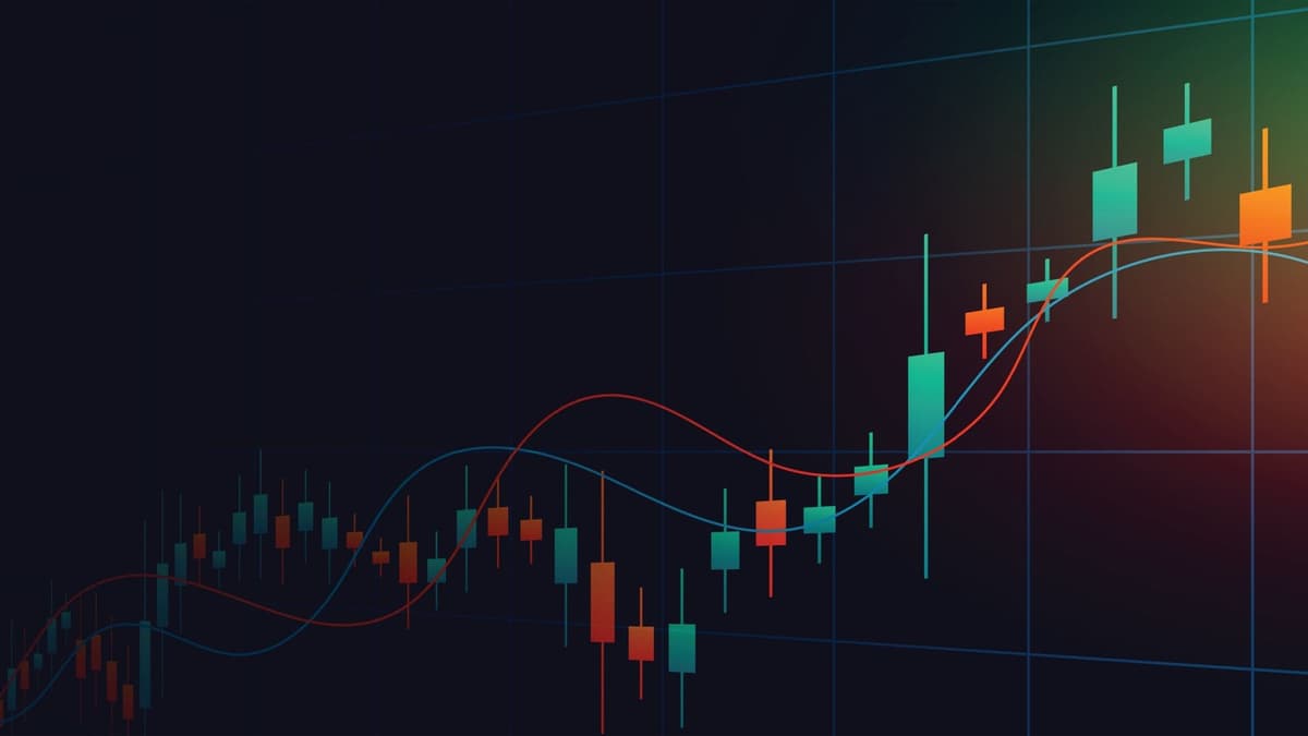 Trade Margin Studies